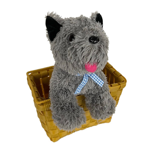 Toto in Basket
