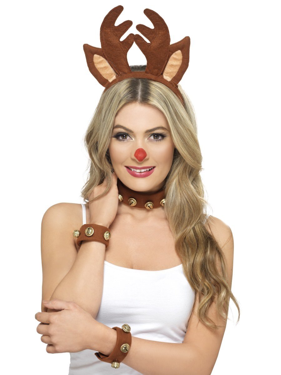 Christmas Pin Up Reindeer Kit