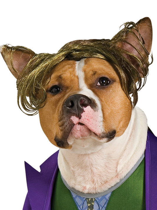 The Joker Pet Costume