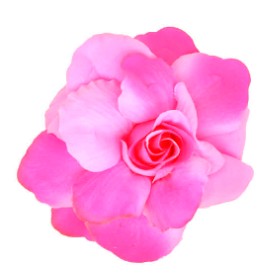 Dolly Pink Flower Hairclip
