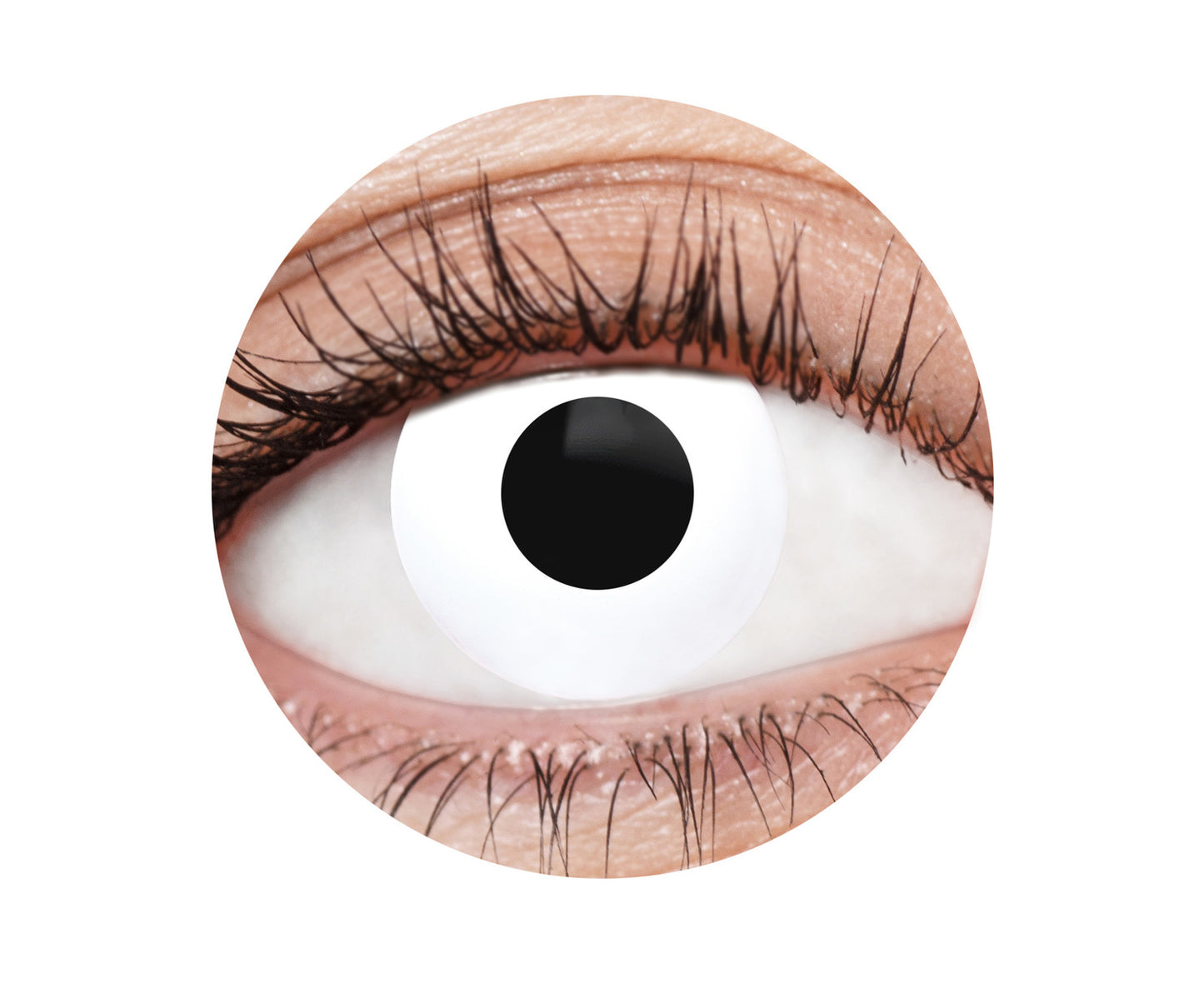 White Deranged Contacts - 12 Month Use Contact Lenses