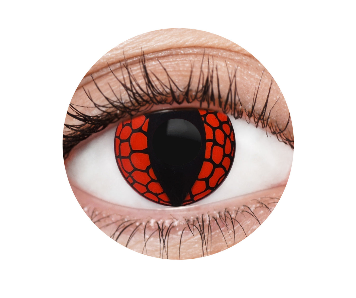 Red Dragon Contacts - 12 Month Use Contact Lenses