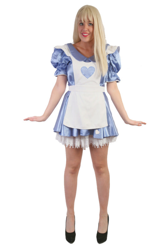Alice In Wonderland 1 Hire Costume*