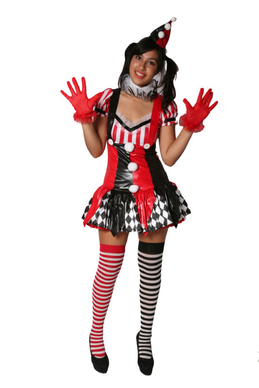 Clown - Harlequin Dress Hire Costume*