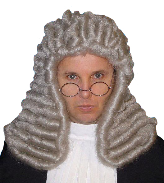 Deluxe Judge Wig Grey Fancy That Costumes Sydney