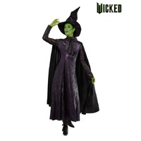 ONLINE ONLY:  Wicked - Elphaba Adult Costume