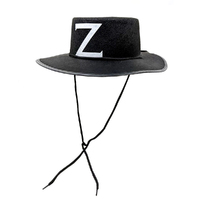 Zorro Hat