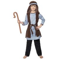 ONLINE ONLY:  Joseph Shepherd Costume - Blue & Brown