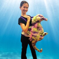 Kid Safari Wrap 'n Ride Seahorse Costume