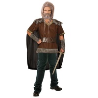 Viking Adult Costume