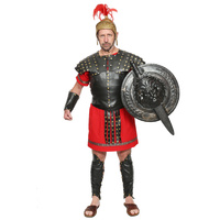 Deluxe Roman Warrior - Loricata Segmentata Hire Costume*