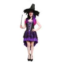 Pretty Purple Witch Hire Costume*