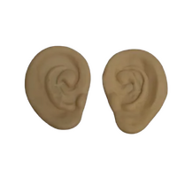 Prince Charles Jumbo Ears