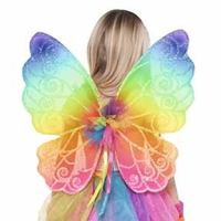 Fairy Wings - Rainbow