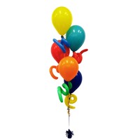 Curly Tail Bouquet - 5 Balloons