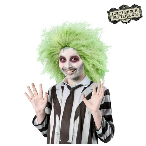 ONLINE ONLY:  Kid's Beetlejuice Wig