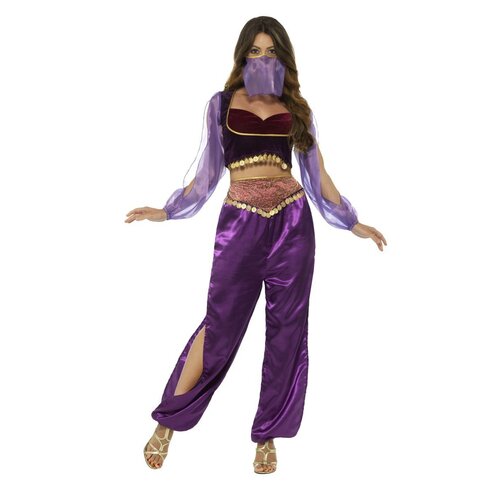 Purple Arabian Princess Women's Costume [Size XS (6-8)]