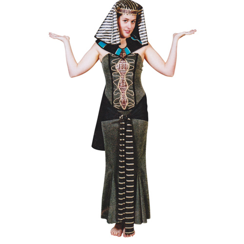 Cleopatra Hire Costume*