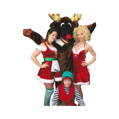 Reindeer Mascot Hire Costume*