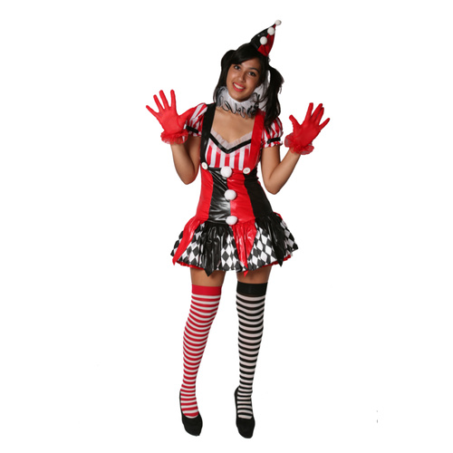 Clown - Harlequin Dress Hire Costume*