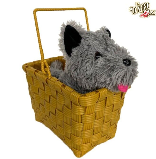 Toto in Basket