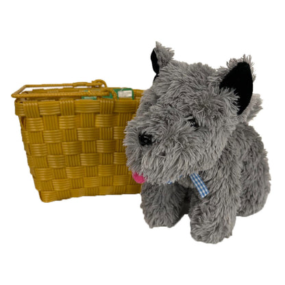 Toto in Basket
