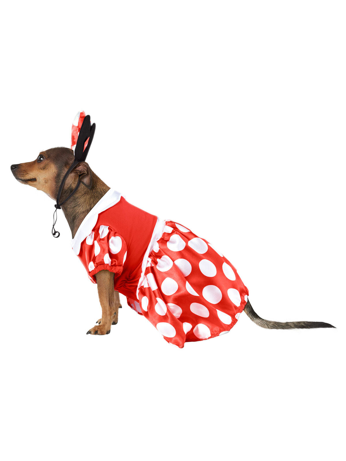 Minnie Mouse Pet Costume