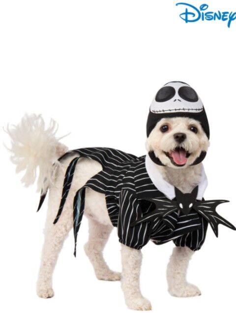 Jack Skellington Pet Costume