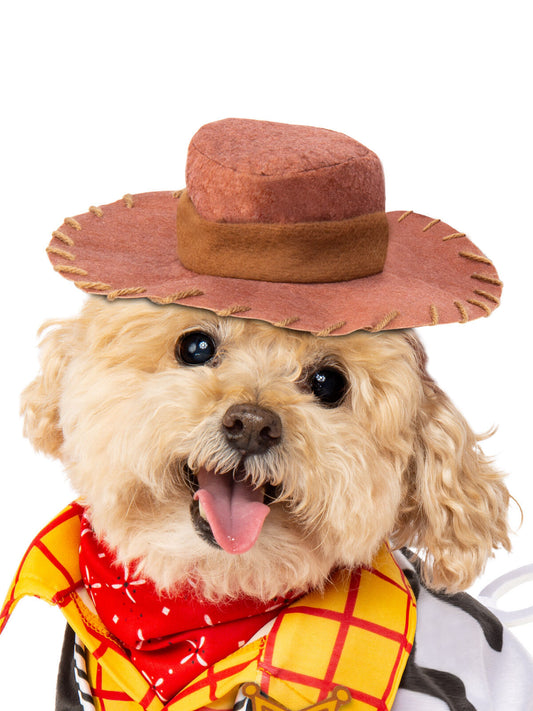 Toy Story Woody Pet Costume