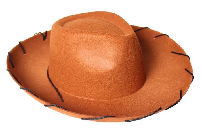 Woody Style Brown Cowboy Hat