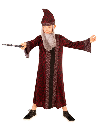 Potter Professor Dumbledore Kid's Costume