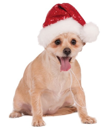Sequin Santa Pet Hat