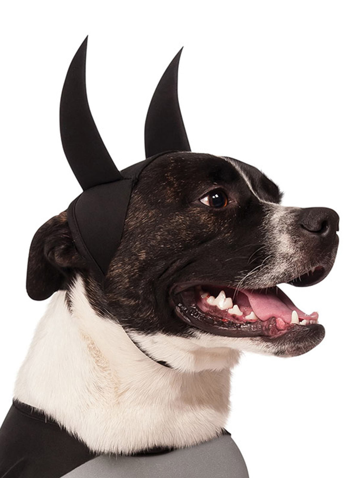 Batman Classic Pet Costume