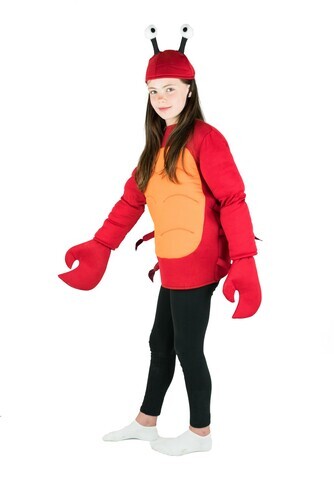 Crab Kid's Costume