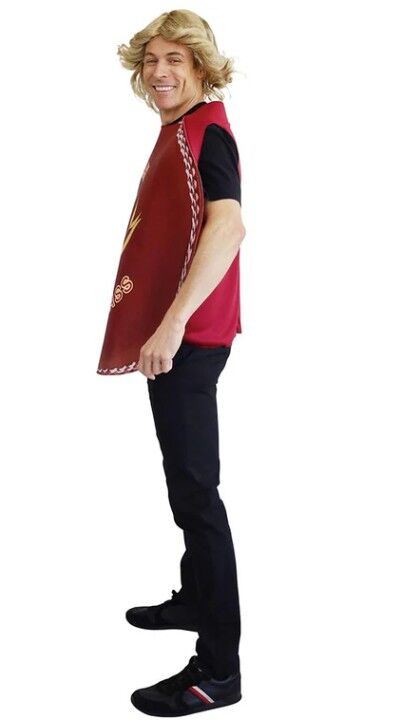 Aussie Cricket Ball Adult Costume
