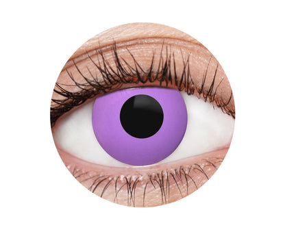 Purple Deranged Contacts - 12 Month Use Contact Lenses