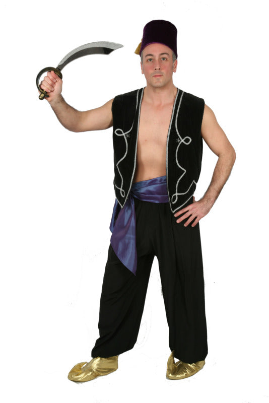 Male Genie 1 Hire Costume*