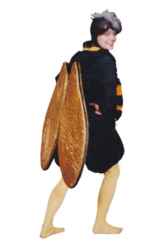 Bumble Bee / Fly Hire Costume*