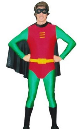 Robin Hire Costume*