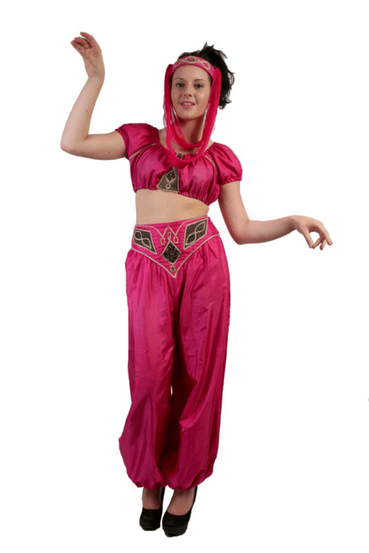 I Dream of Jeannie Hire Costume*