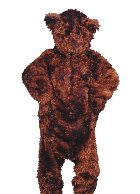 Teddy Bear Mascot Hire Costume*