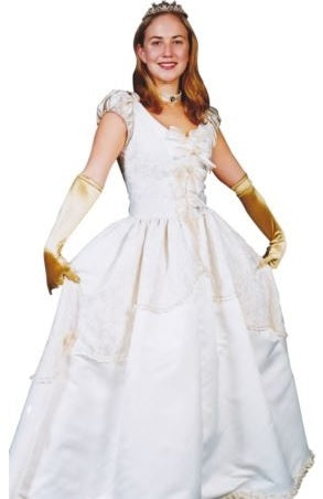 Sleeping Beauty Hire Costume*