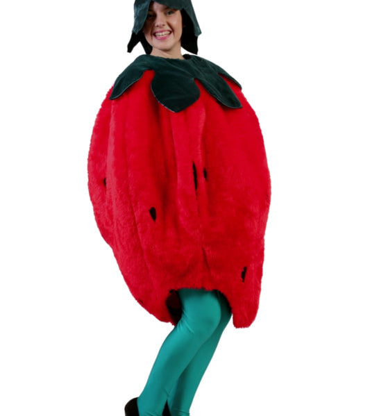 Strawberry Hire Costume*