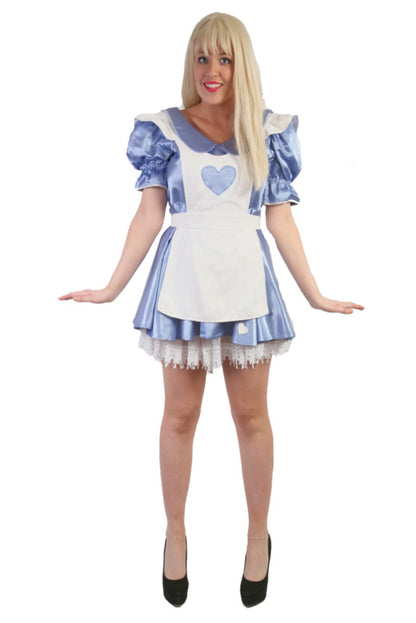 Alice In Wonderland 1 Hire Costume*