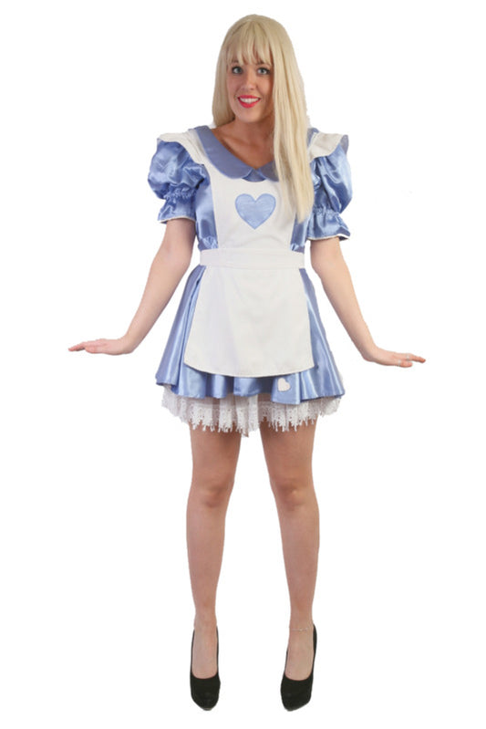 Alice In Wonderland 1 Hire Costume*