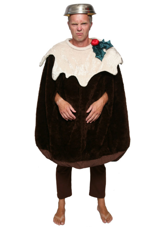 The Magic Pudding Hire Costume*