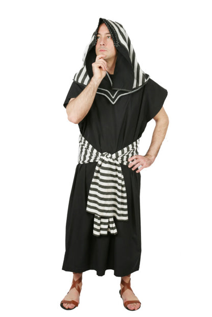 Egyptian Noble 2 Hire Costume*