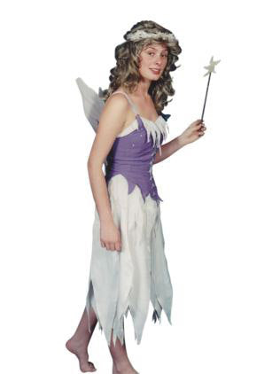 Fairy - Long Hire Costume*