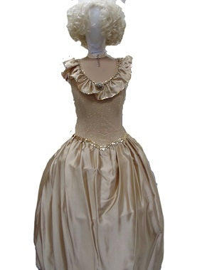 Fairytale Princess - Gold Crinoline Hire Costume*