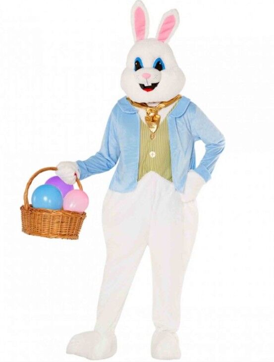 Easter Bunny Blue Deluxe Adult Costume